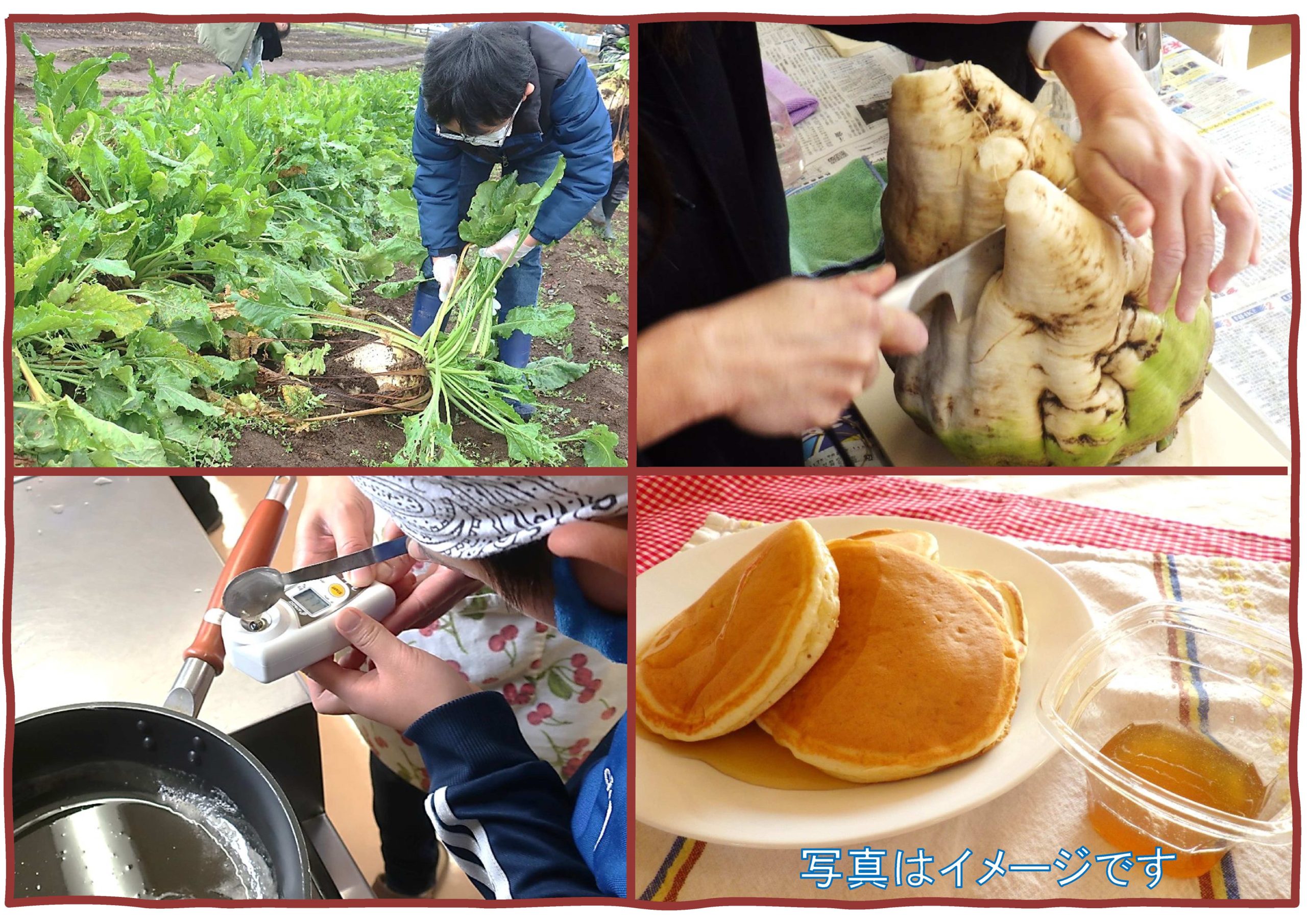 学ぼう！てん菜の世界 (ホットケーキ付）